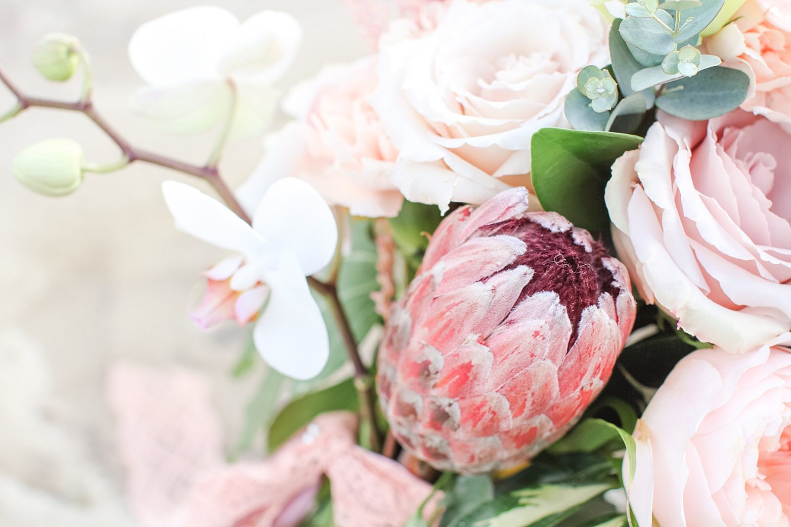 Beach Styled Shoot | Cypress Point Park | Tampa, FL | Blog | Deanna ...