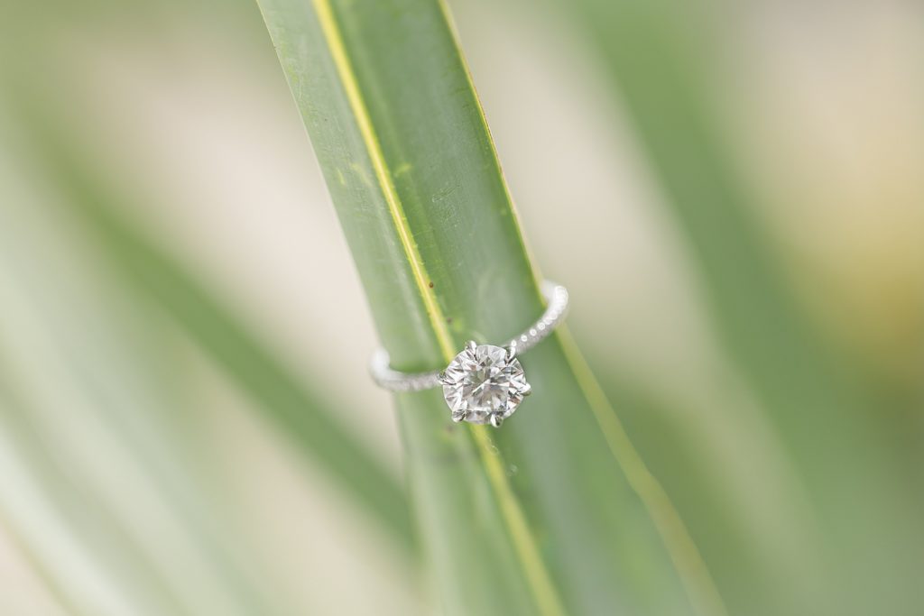 engagement ring on a green leaf. 