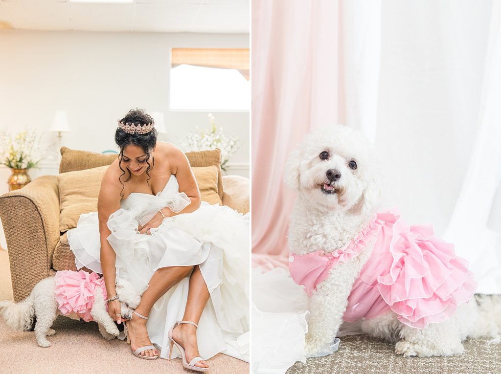 A bride getting ready next to her white dog wearing a pink tutu. 